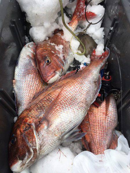 第二八坂丸 釣果