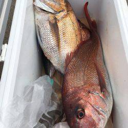 第二八坂丸 釣果