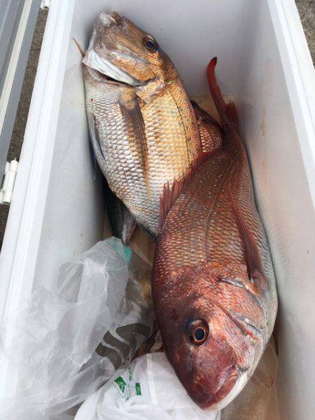 第二八坂丸 釣果