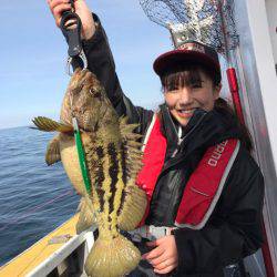 シーランチ 釣果