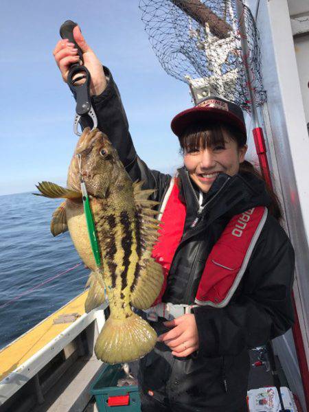 シーランチ 釣果