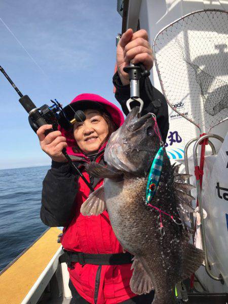 シーランチ 釣果