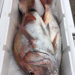 第二八坂丸 釣果