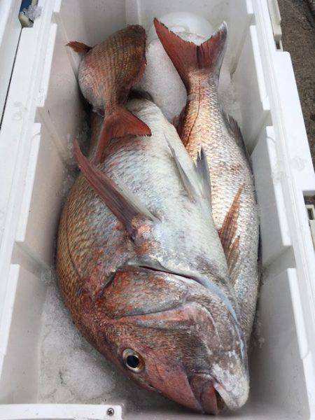 第二八坂丸 釣果