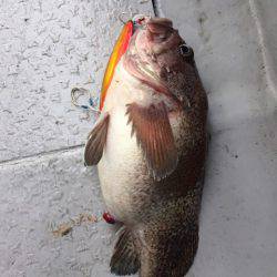 第二龍勢丸 釣果