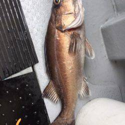 第二龍勢丸 釣果