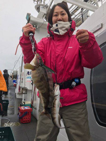 シーランチ 釣果