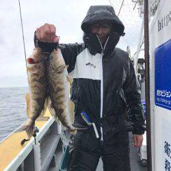 シーランチ 釣果