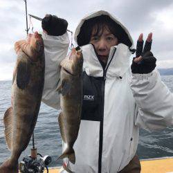 シーランチ 釣果