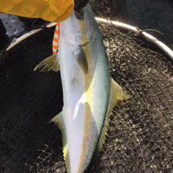 第二龍勢丸 釣果