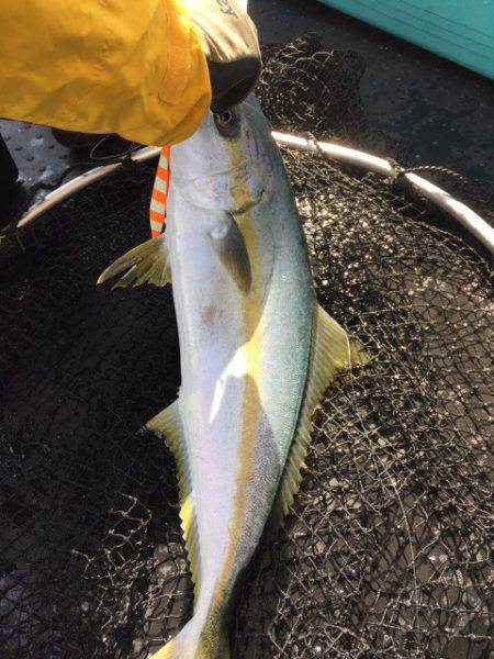 第二龍勢丸 釣果