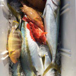 第二龍勢丸 釣果