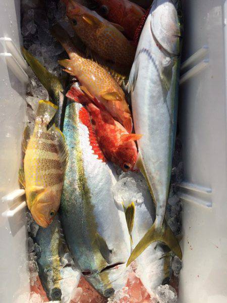 第二龍勢丸 釣果