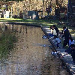 白州トラウトフィッシングエリア　シルフ 釣果