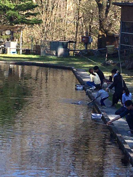 白州トラウトフィッシングエリア　シルフ 釣果