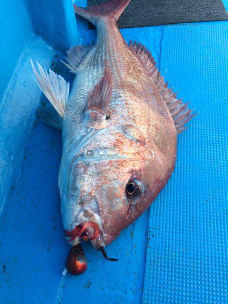 太平丸 釣果