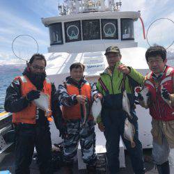 シーランチ 釣果