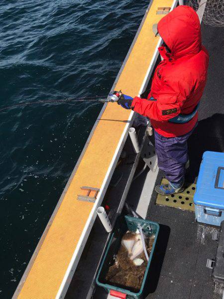 シーランチ 釣果