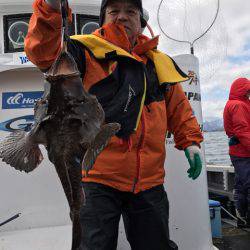 シーランチ 釣果