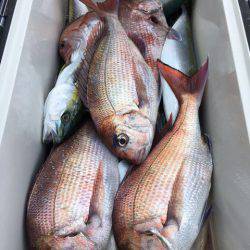 第二八坂丸 釣果