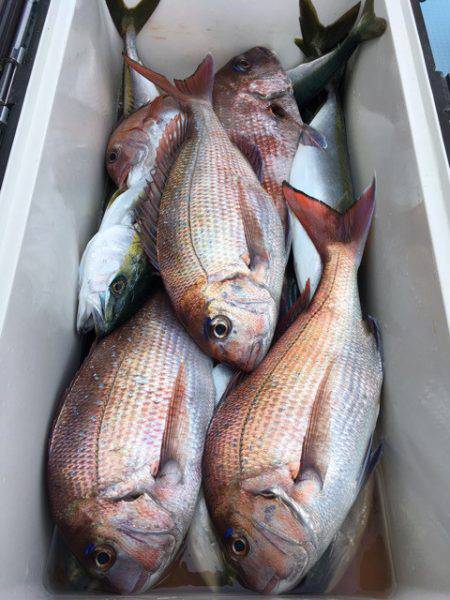 第二八坂丸 釣果