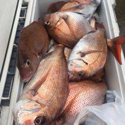 第二八坂丸 釣果