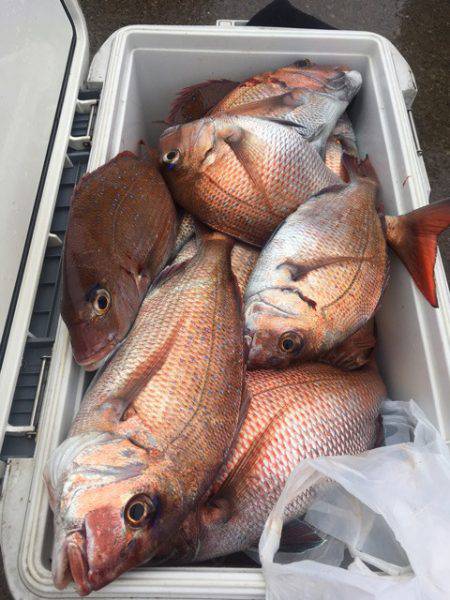 第二八坂丸 釣果