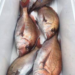 第二八坂丸 釣果