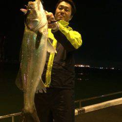 SeaRide(シーライド) 釣果