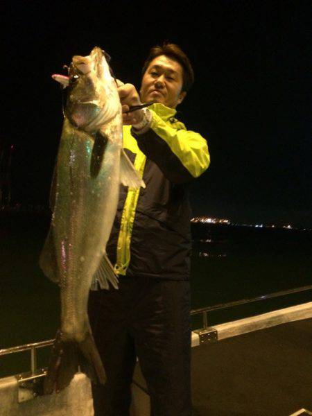 SeaRide(シーライド) 釣果