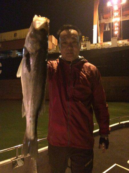 SeaRide(シーライド) 釣果