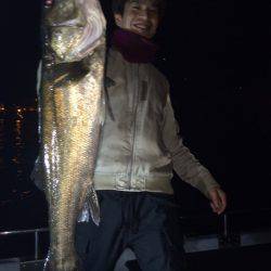 SeaRide(シーライド) 釣果