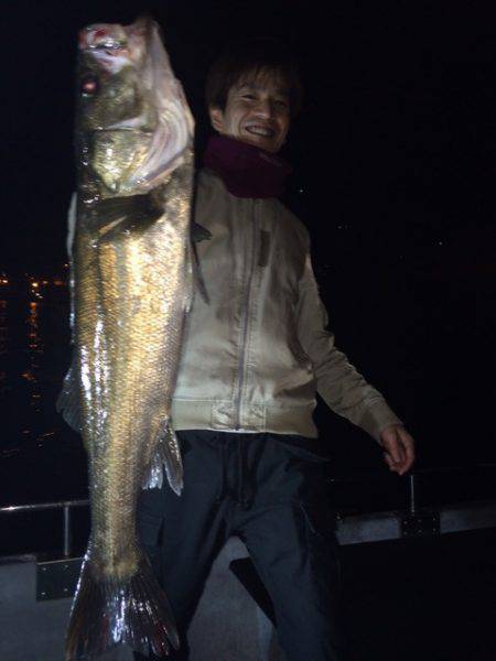 SeaRide(シーライド) 釣果