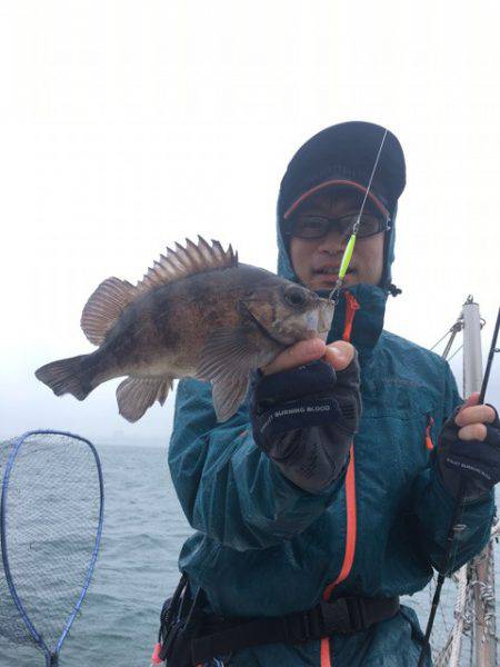 うさぎ丸 釣果