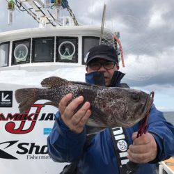 シーランチ 釣果
