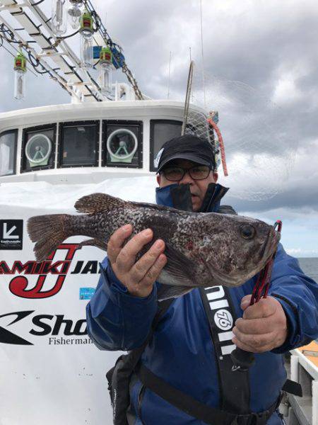 シーランチ 釣果
