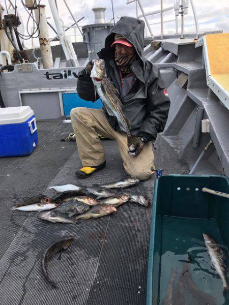 シーランチ 釣果