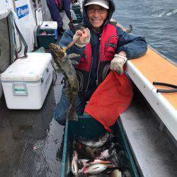 シーランチ 釣果