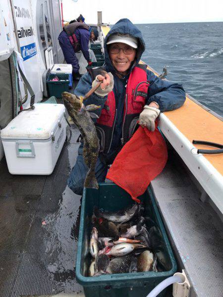 シーランチ 釣果