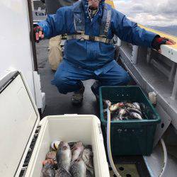 シーランチ 釣果