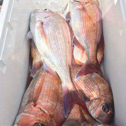 第二八坂丸 釣果