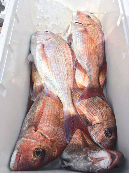 第二八坂丸 釣果