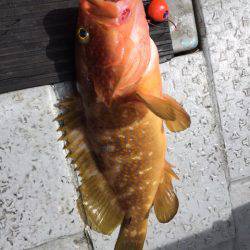 第二龍勢丸 釣果