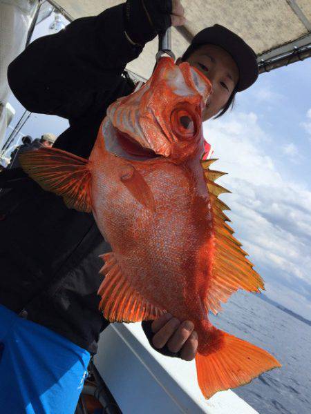 第二龍勢丸 釣果