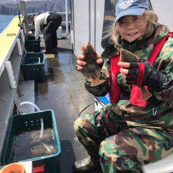 シーランチ 釣果