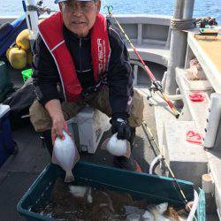 シーランチ 釣果