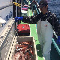 丸万釣船 釣果