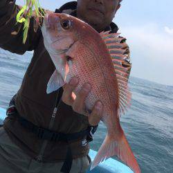 みやけ丸 釣果