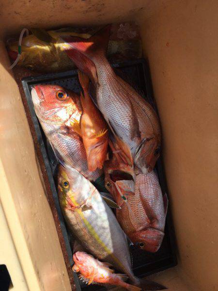 ＴＡＲＯＭＡＲＵ 釣果