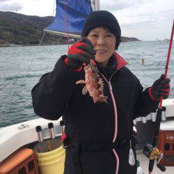 Ｖ−７ West 釣果